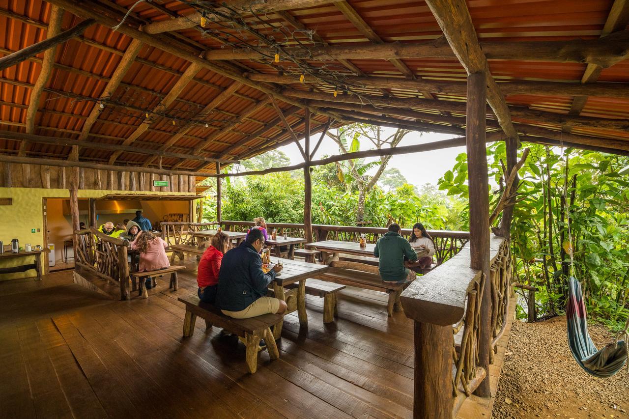 Lodge La Tigra Rainforest *