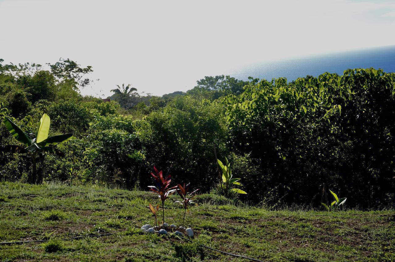 Casa Guajira *