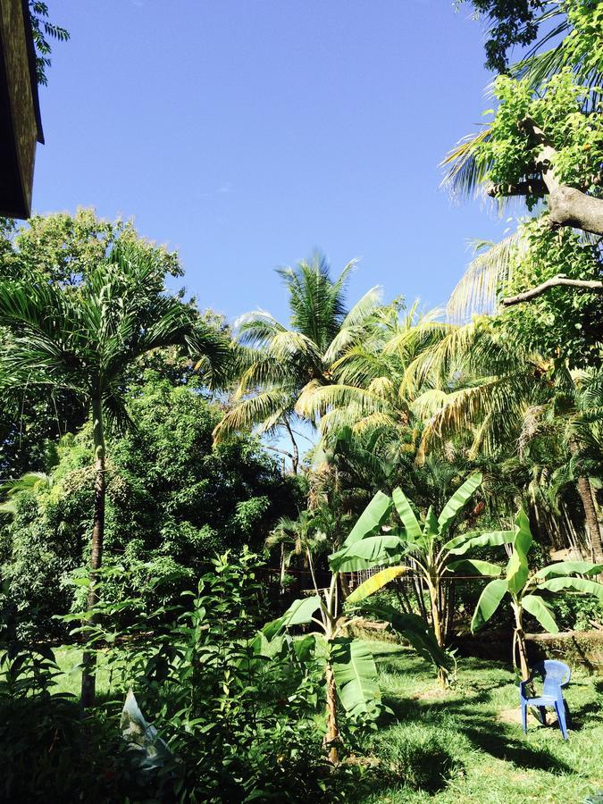 Nosarananda Nosara