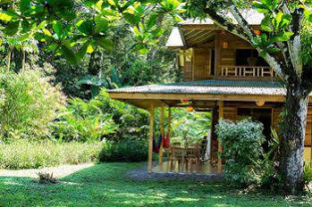 La Finca Chica Cocles