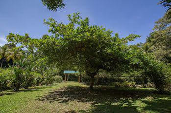 Hotel La Finca Chica 3*