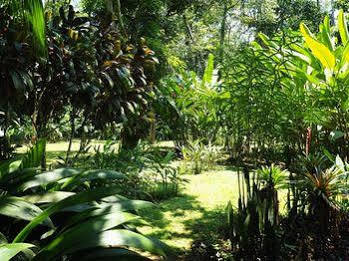 La Finca Chica 3* Cocles