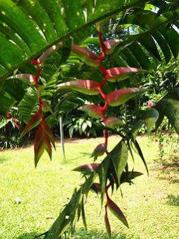 Hotel La Finca Chica 3*