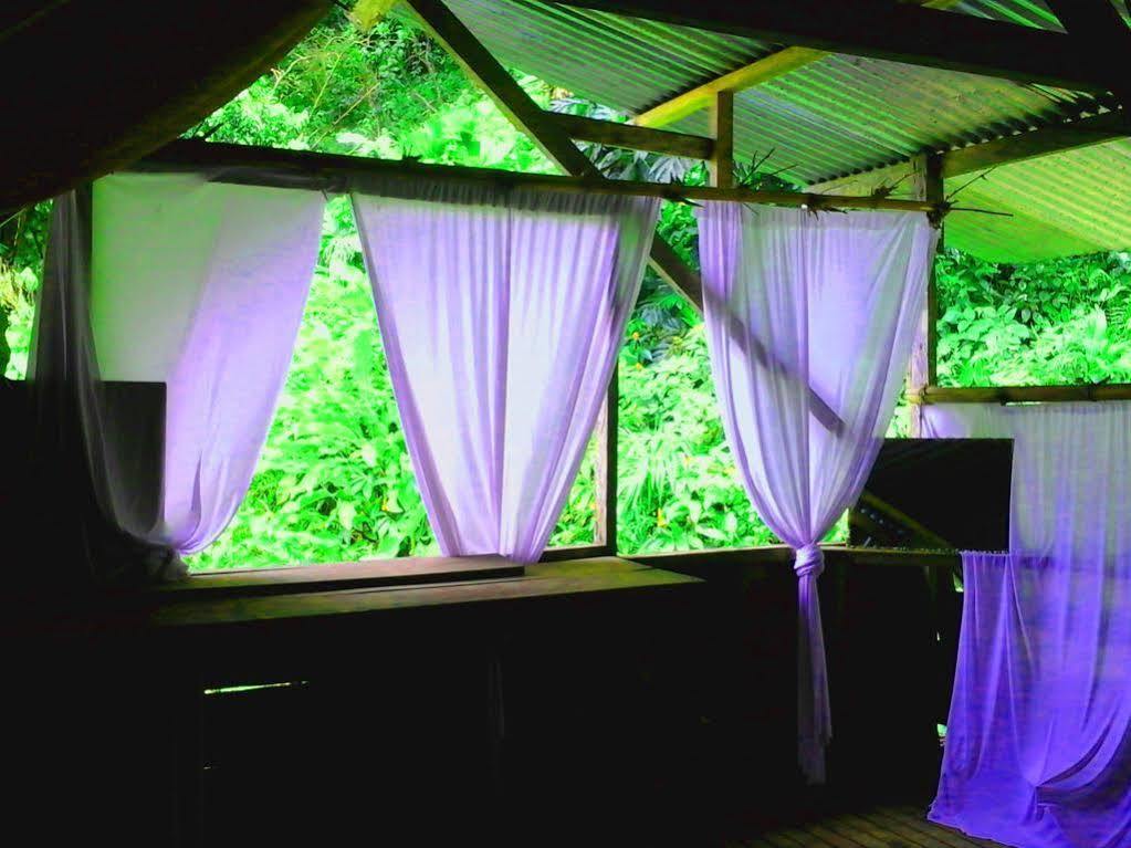 Blue Butterfly Hostel *
