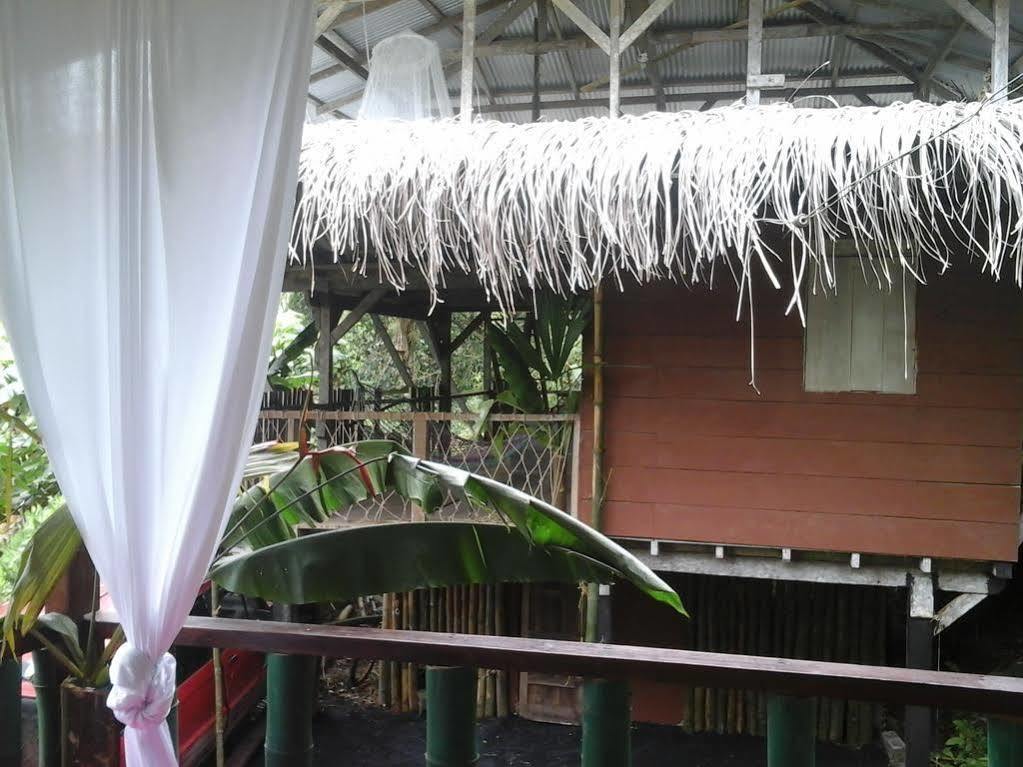 Hostel Blue Butterfly *