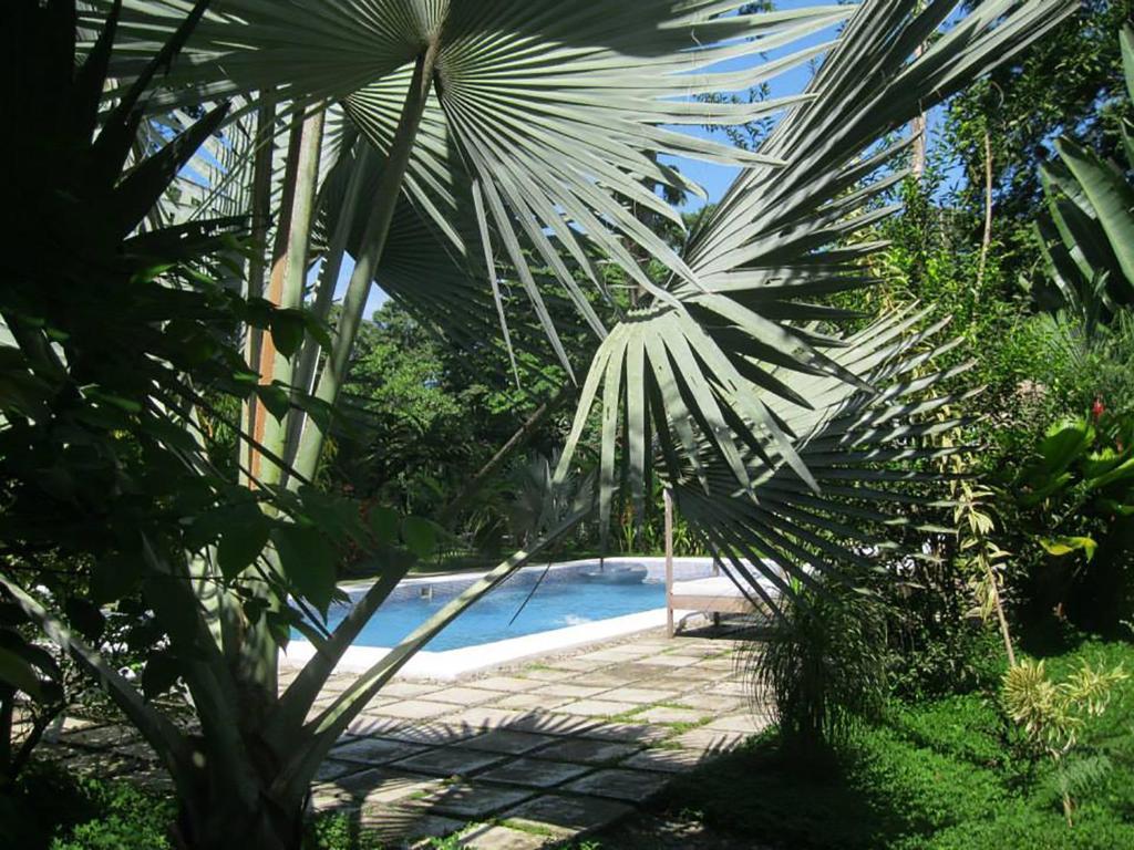 Hotel Vip Playa Negra