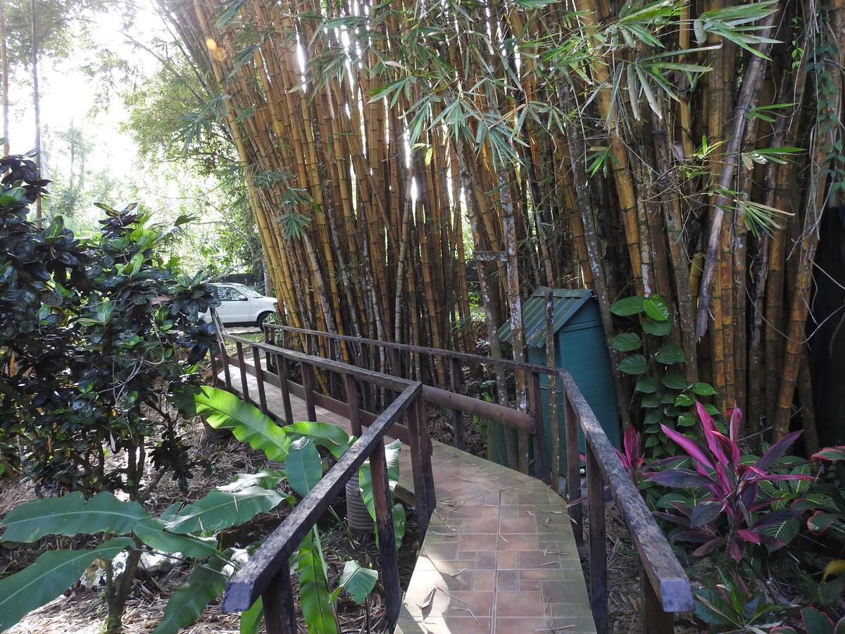Playa Negra Lodge