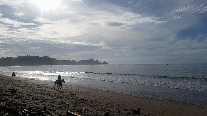 Hotel Nosara Garza Beach
