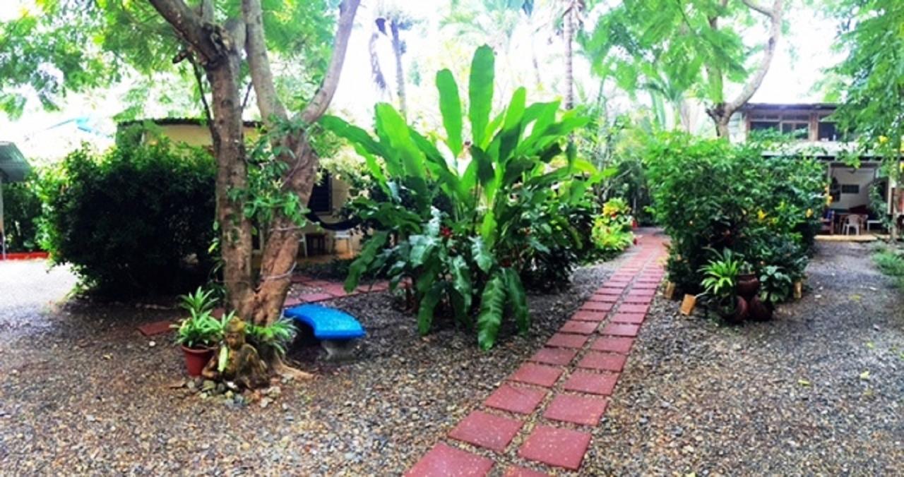Tropical Sands