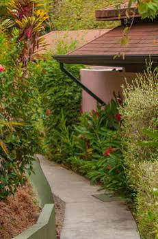 Hotel Tiki Rainforest & 3*