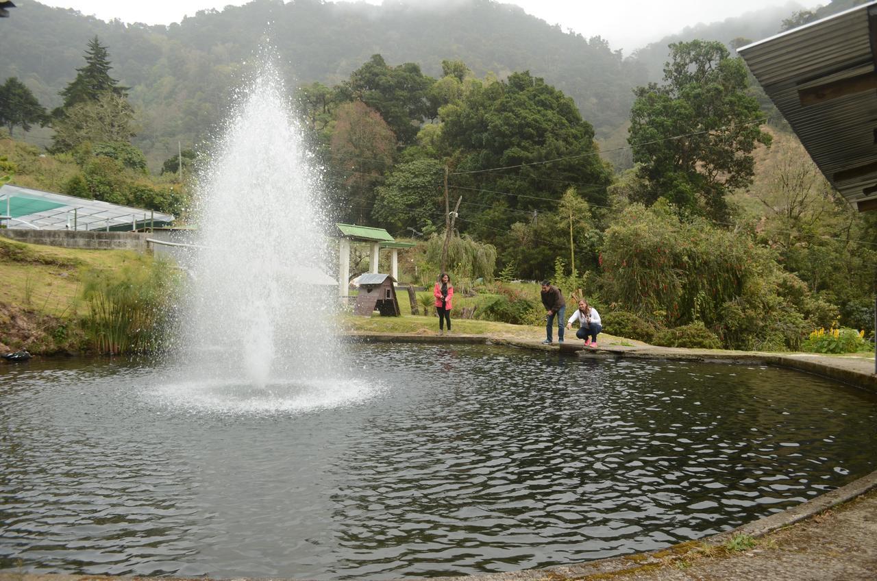 Lodge Lagos