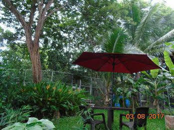 Hotel Jinesta Conchal