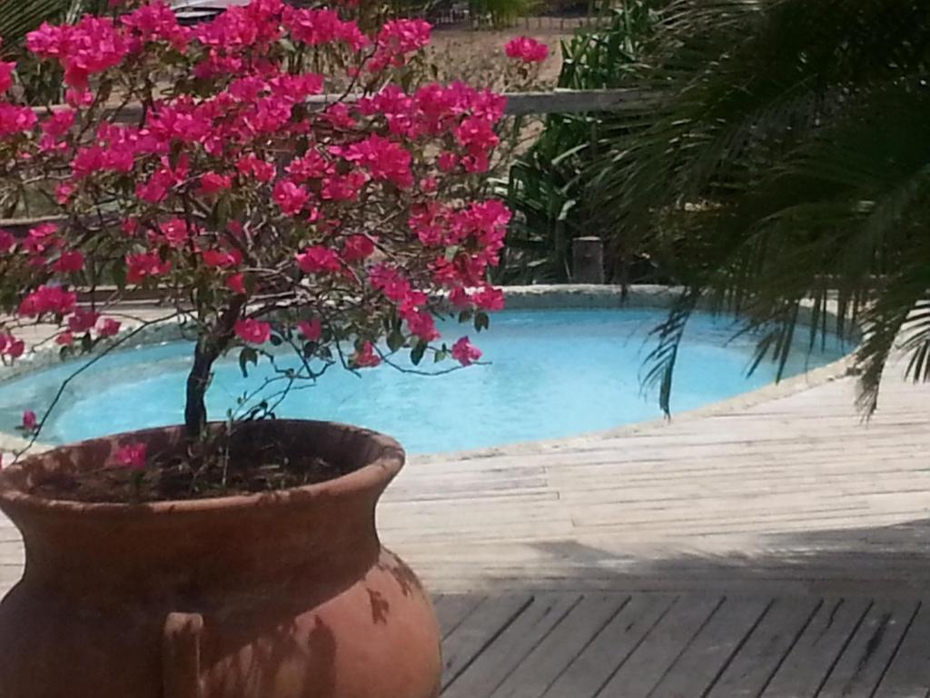 El Sabanero Eco Tamarindo