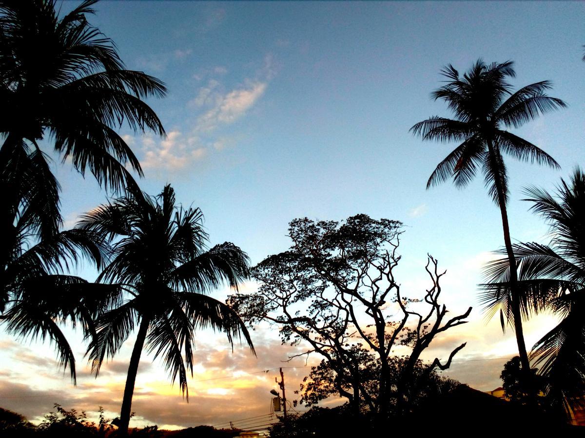 Hotel El Jardin 2*