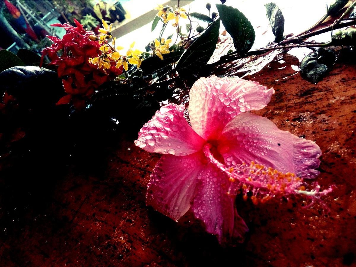 Hotel El Jardin 2*