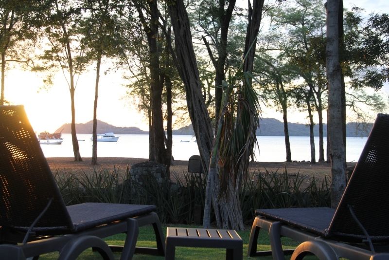 Cc Front Papagayo