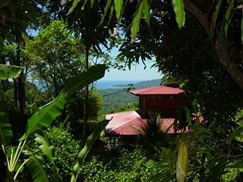 Samasati Yoga & Wellness Retreat