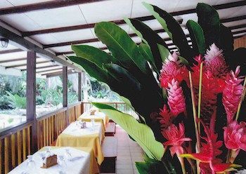 Lodge Pizote *