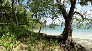 Hotel Colono Coco