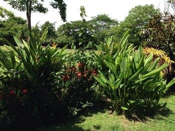 Blue Zone Retreat Lodge