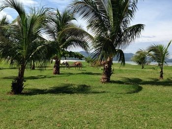 Blue Zone Retreat * Nicoya