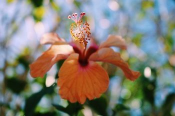 Sirena Serena B&B And Retreat