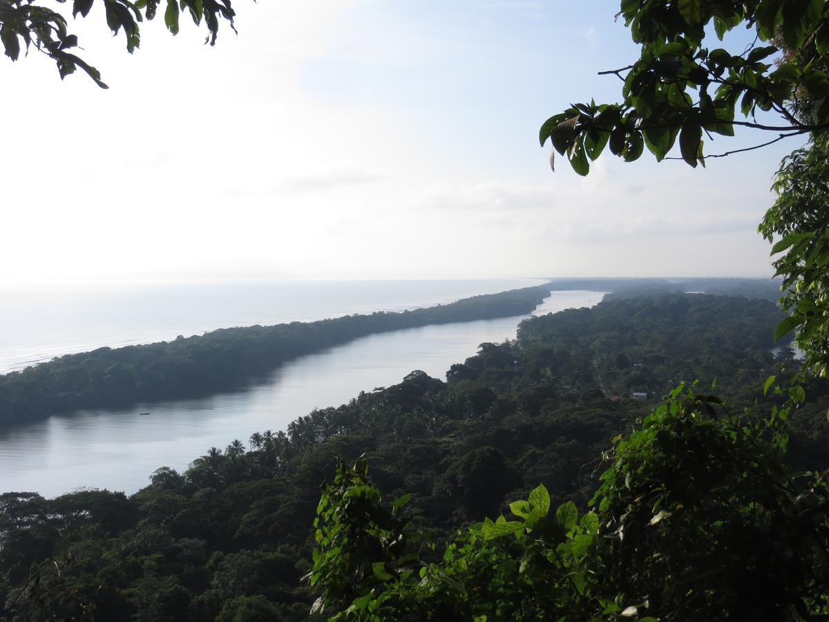 Bed & Breakfast Gecko De Tortuguero