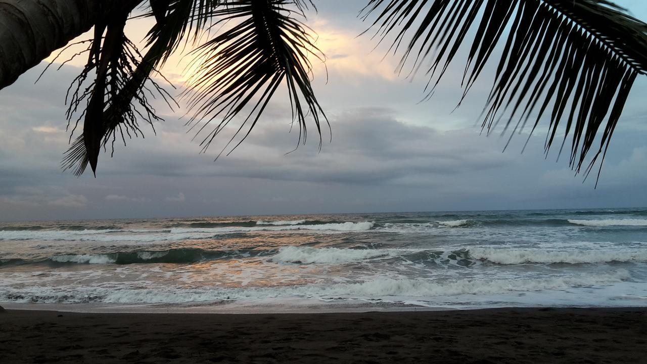 Bed & Breakfast Gecko De Tortuguero