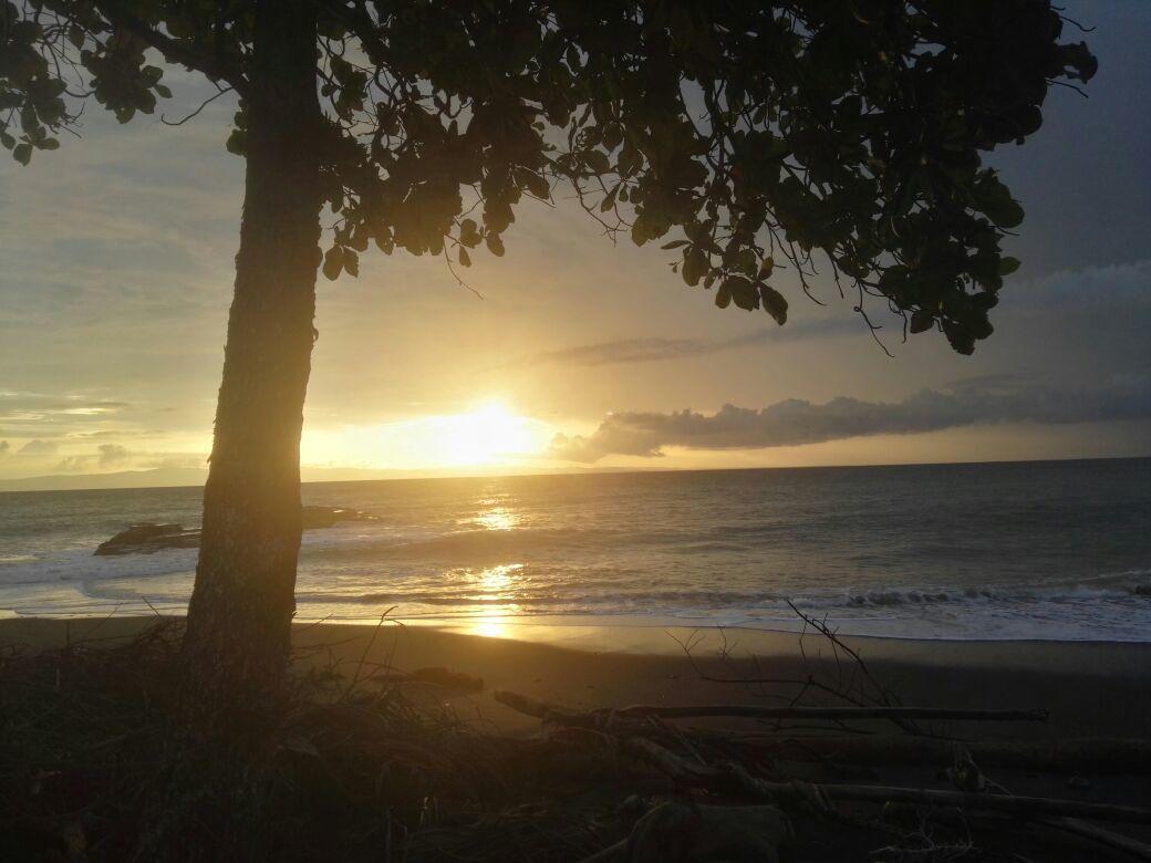 Cabinas Las Gemelas Pavones (Puntarenas)