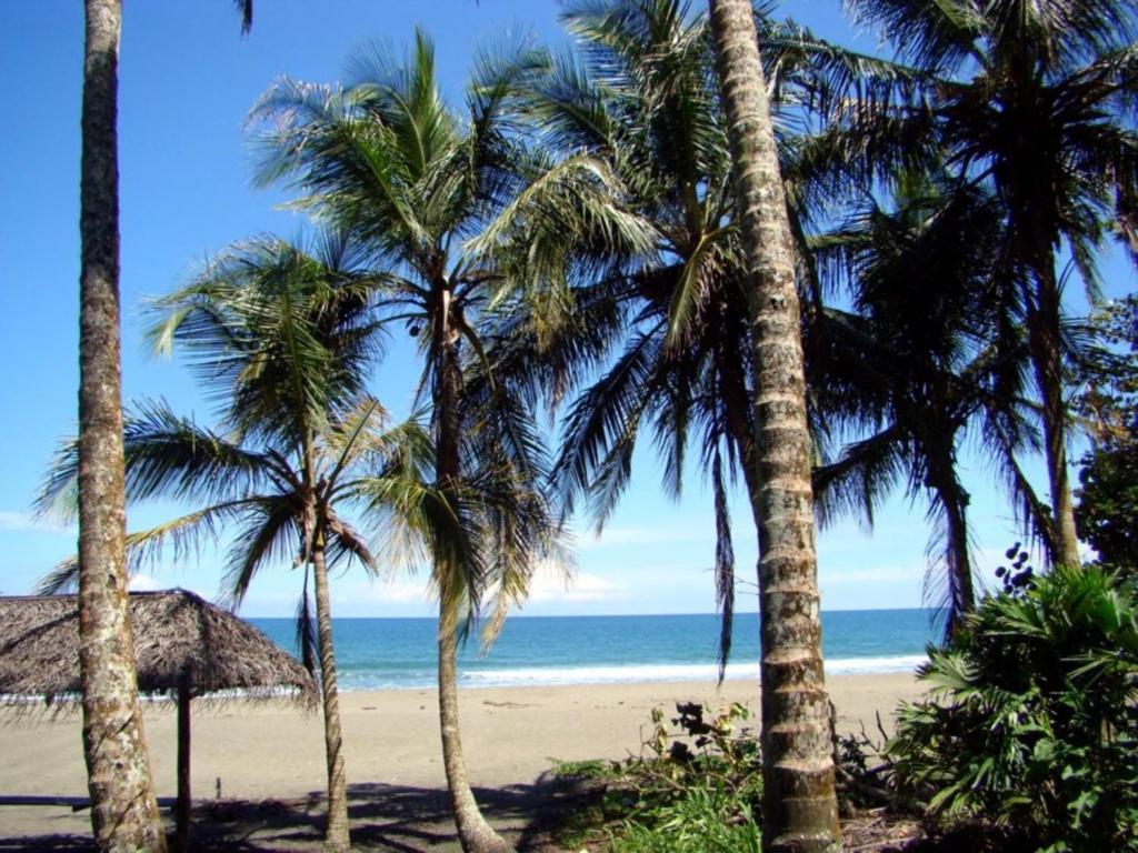 Perla Negra Beach Front Puerto Viejo de Talamanca