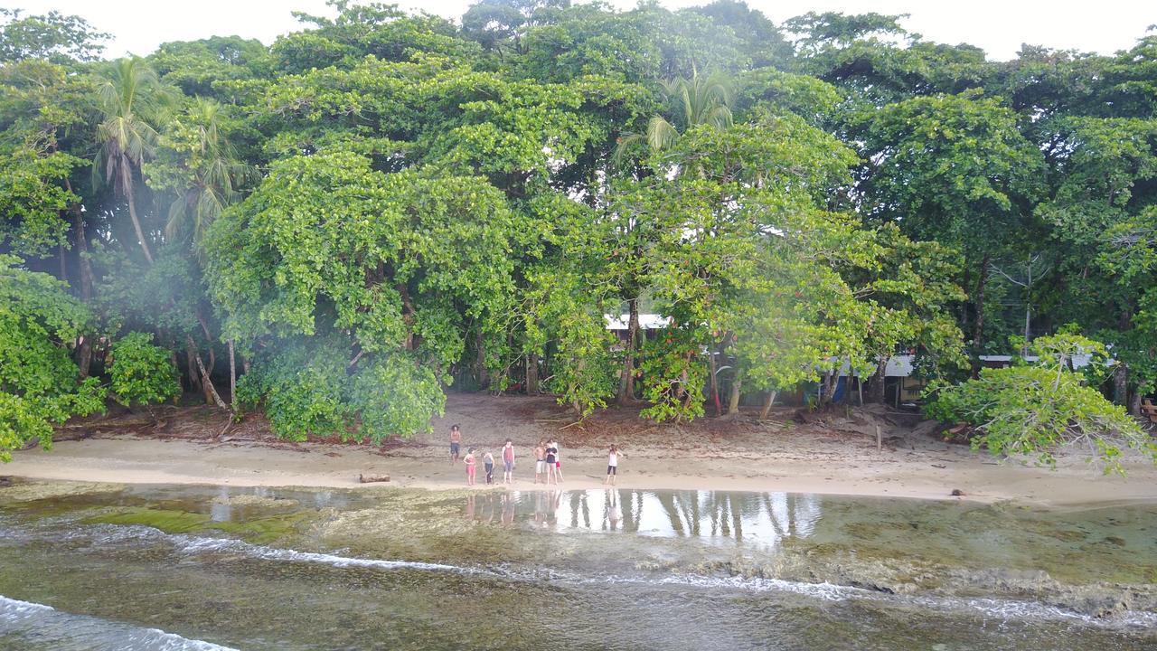 Oasis *