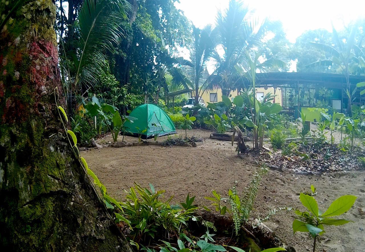 Hostel Oasis