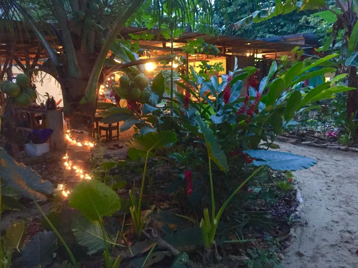 Oasis Hostel *