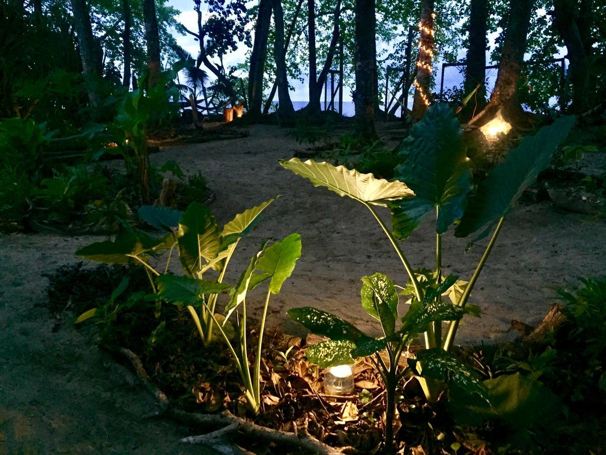 Oasis