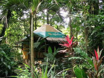 Korrigan Hotel Punta Uva