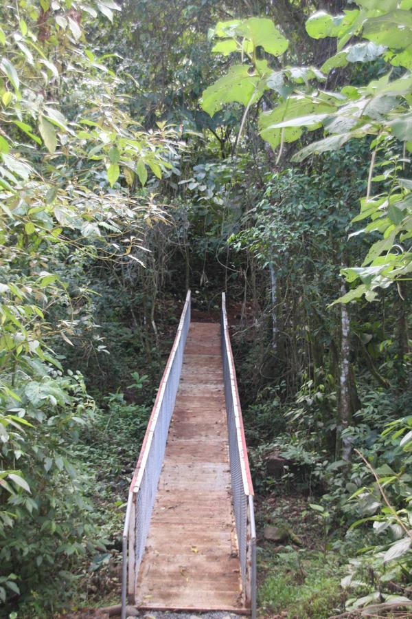 Amistad Cacao * Bijagua