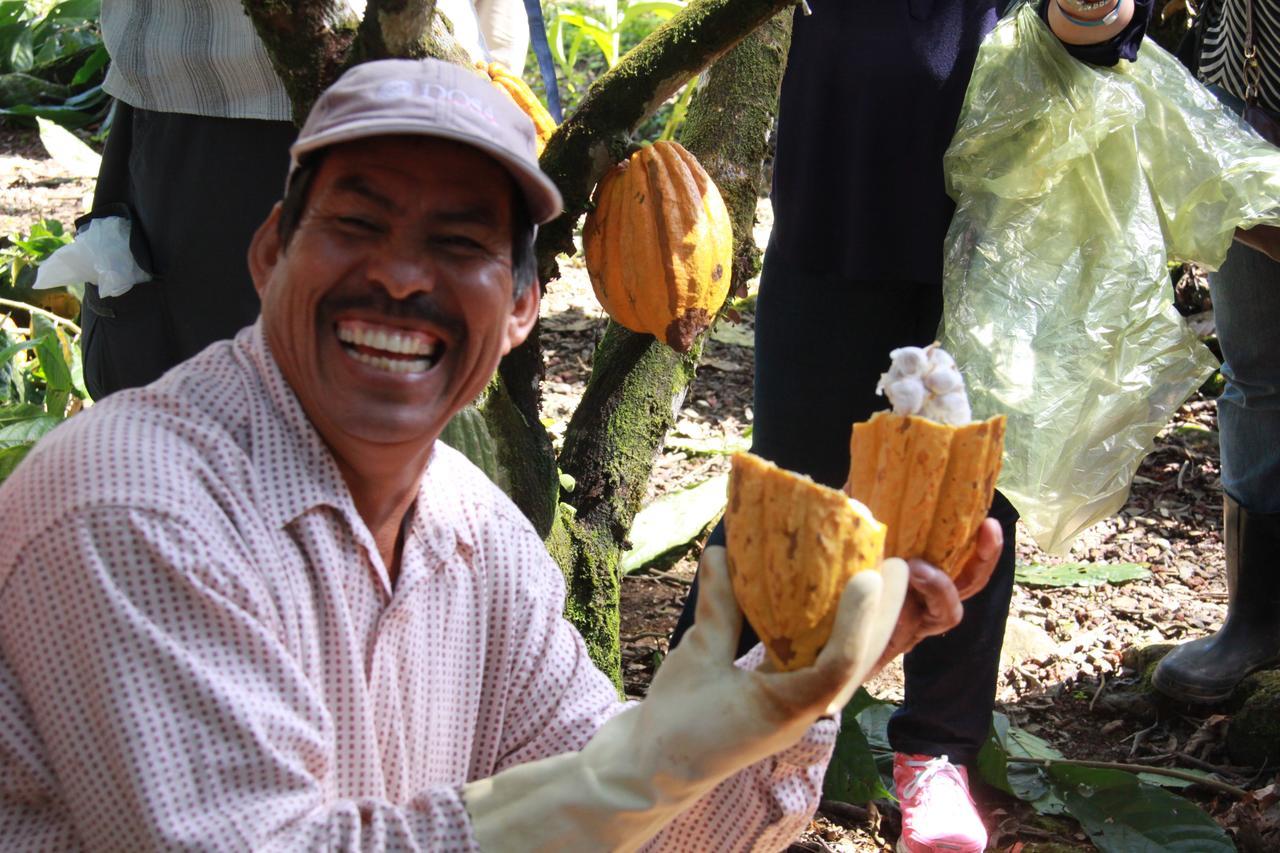 Lodge Amistad Cacao *