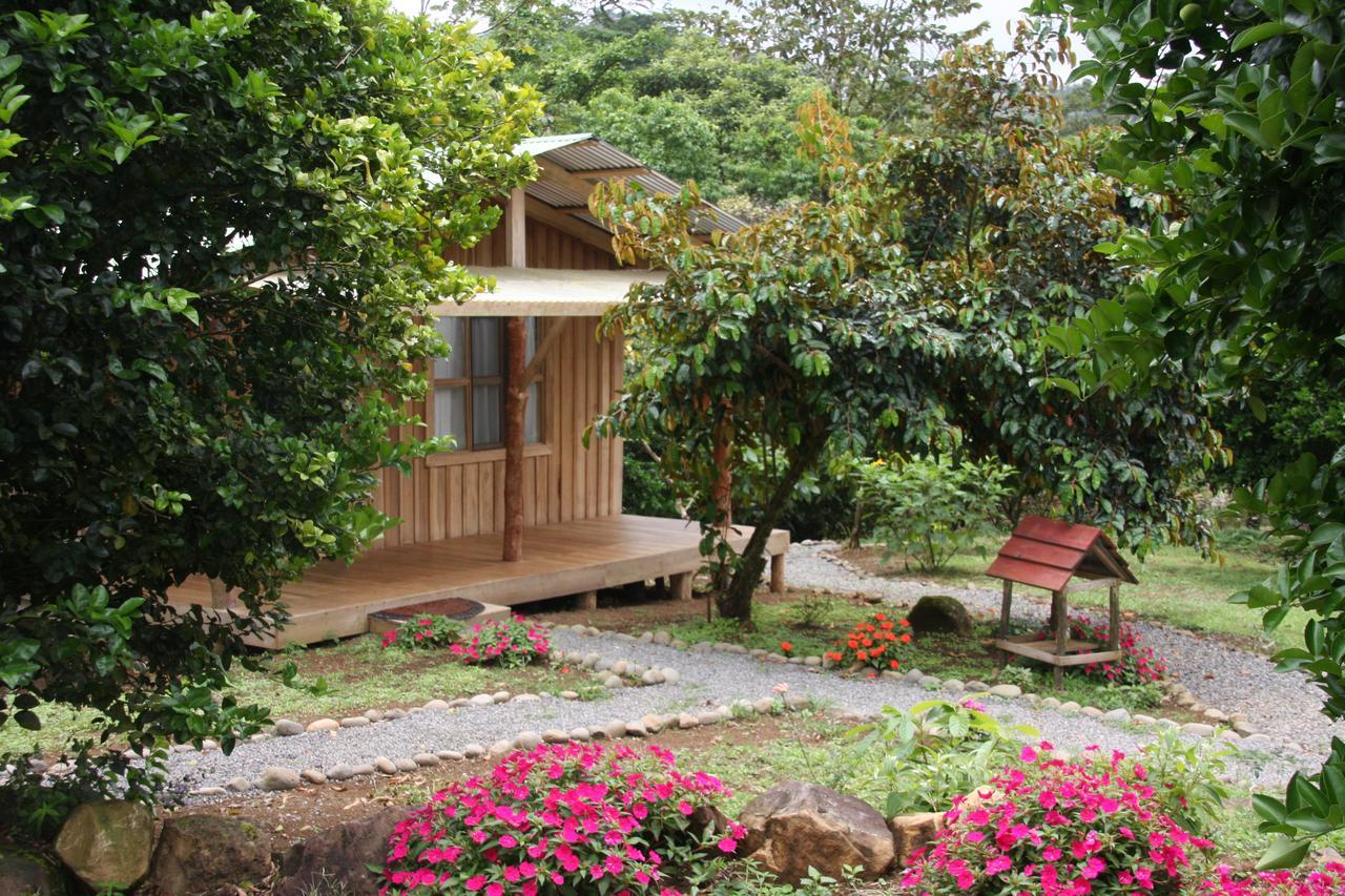Lodge Amistad Cacao *