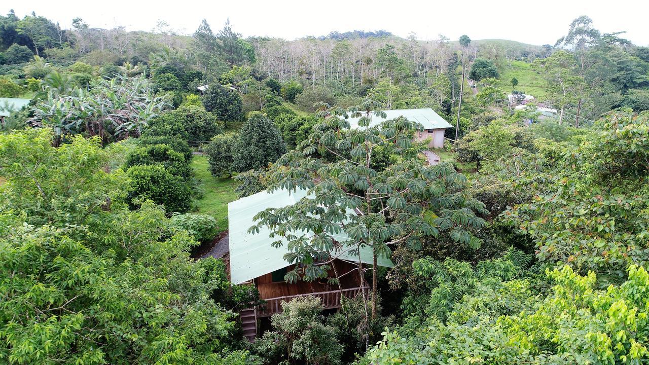 Amistad Cacao * Bijagua