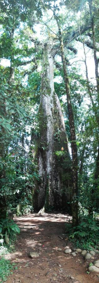Rural Rio Celeste 2* Katira