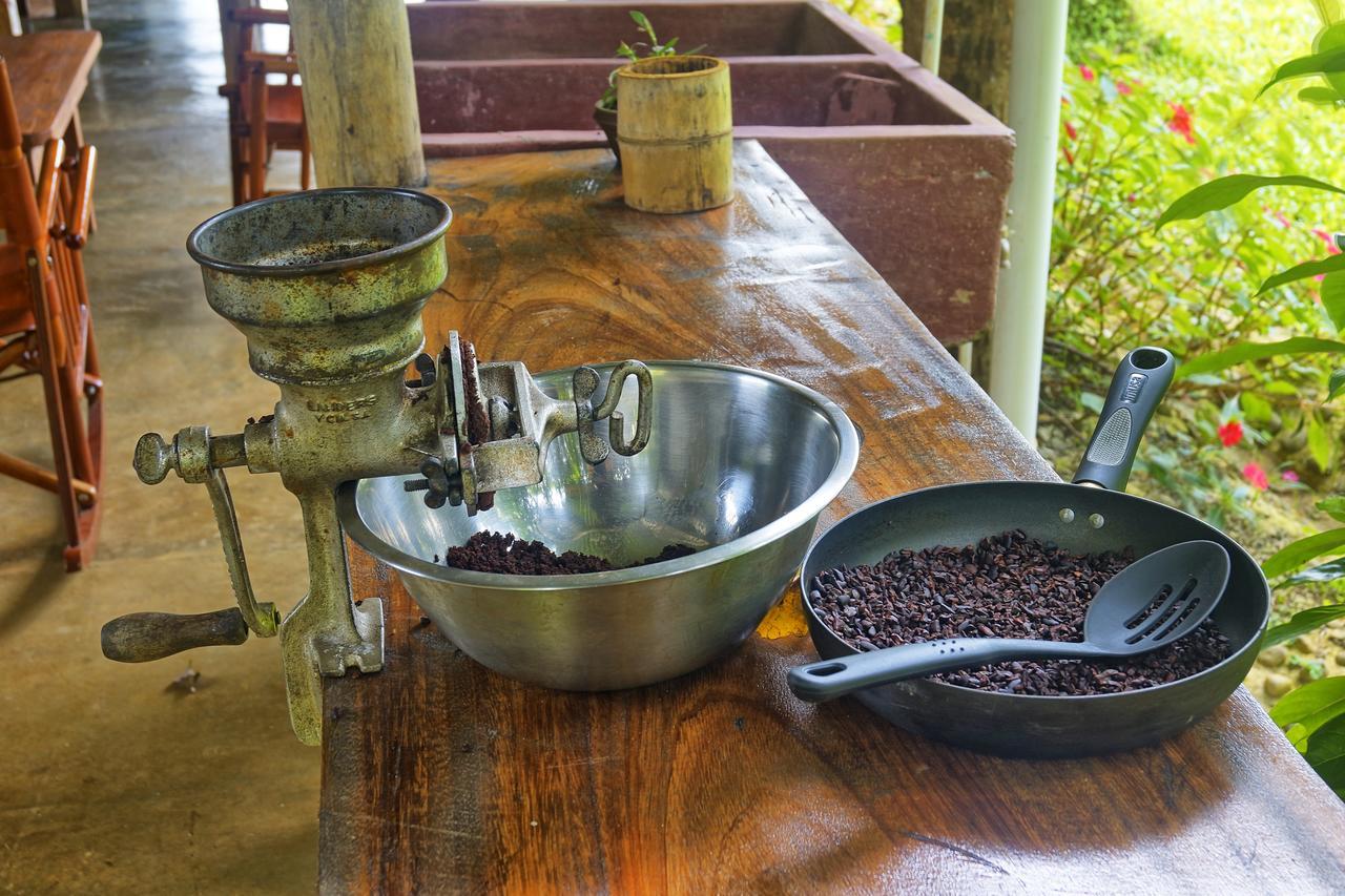 Lodge Amistad Cacao *