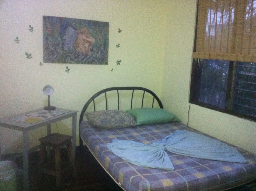 Hostel In The Wind And *