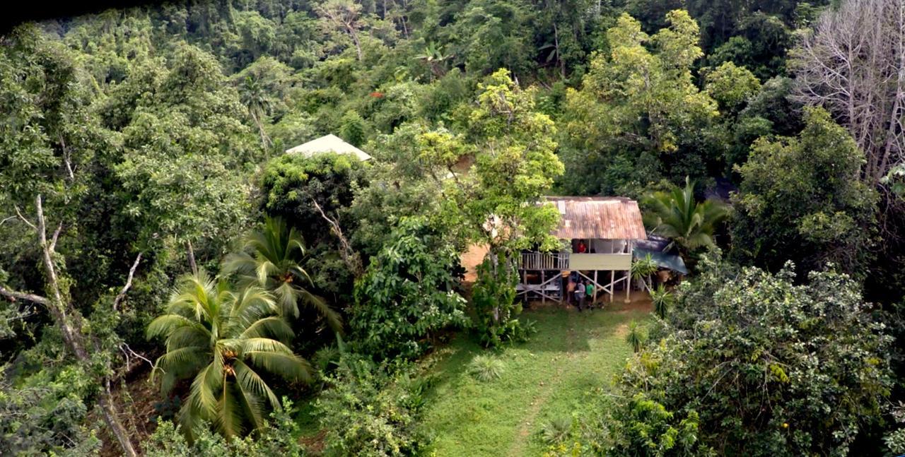 Bolita Trails And * Dos Brazos