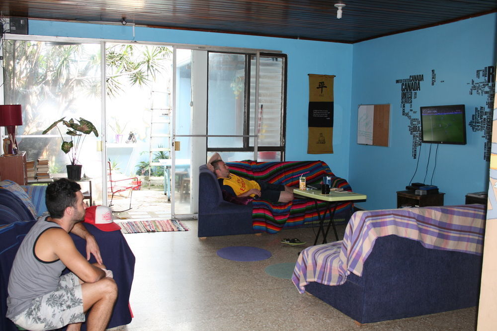 Hostel In The Wind And *