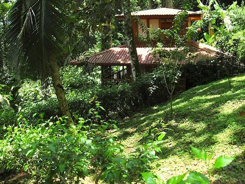 Samasati Yoga & Wellness Retreat 3* Puerto Viejo de Talamanca