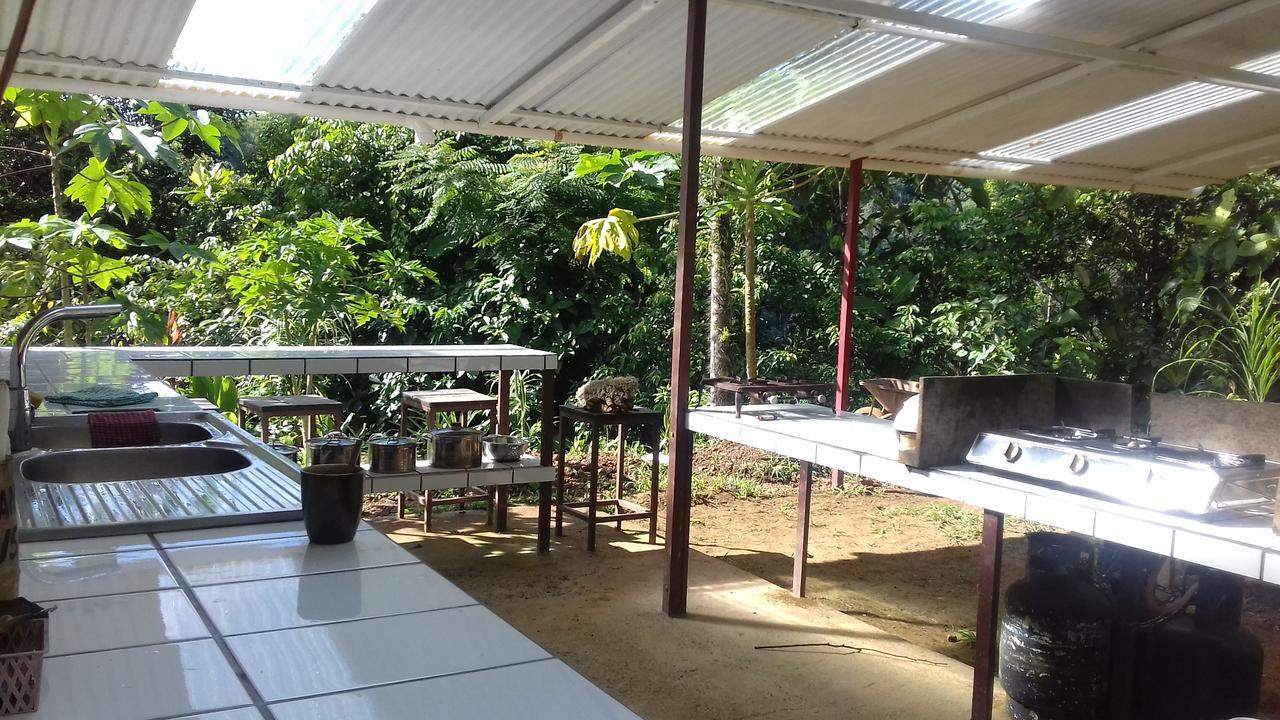 Bolita Trails And * Dos Brazos