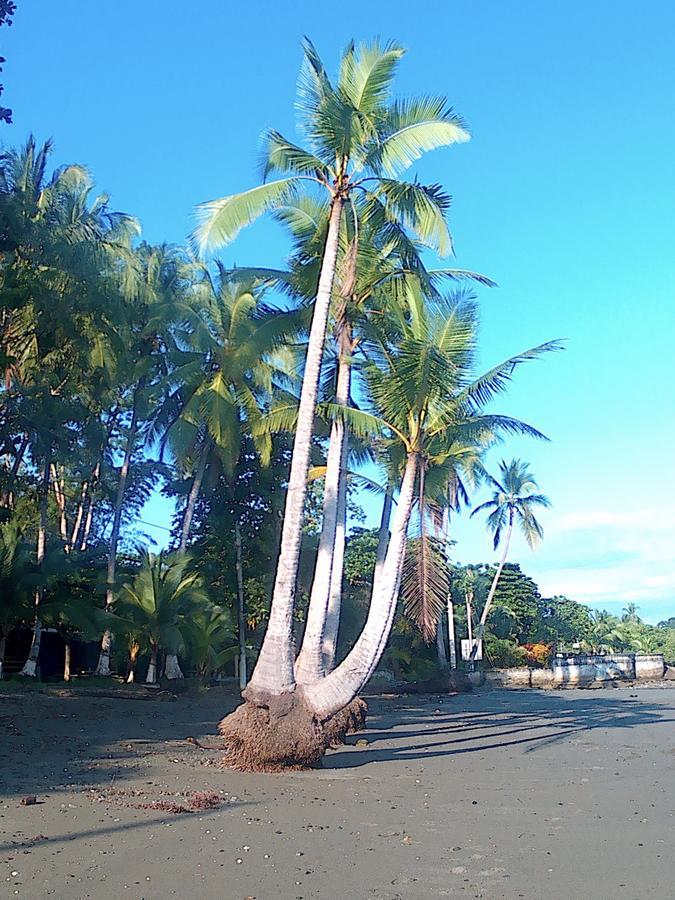 Casa Celeste Del Golfo Dulce * Puerto Jimenez