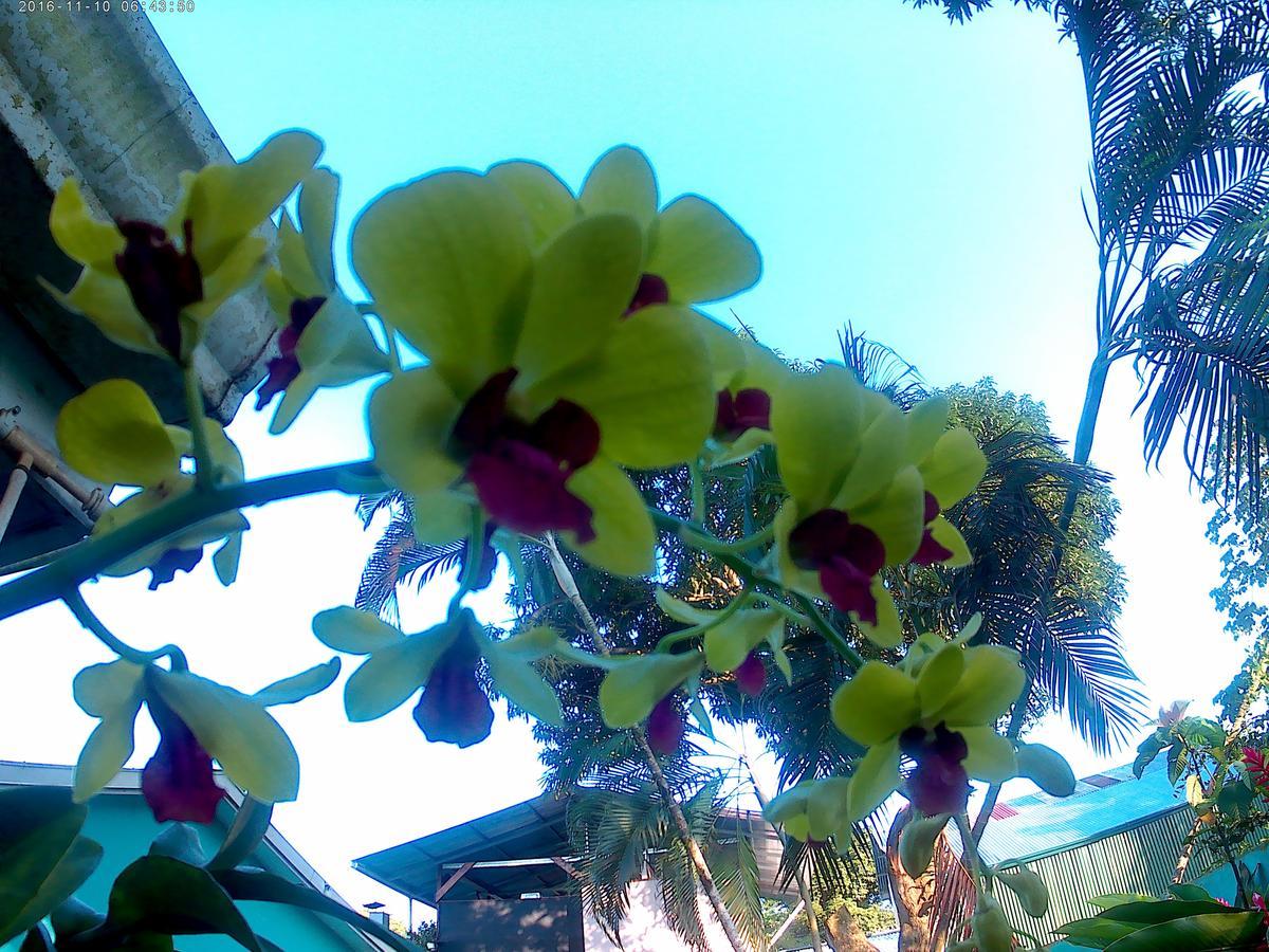 Bed & Breakfast Casa Celeste Del Golfo Dulce *