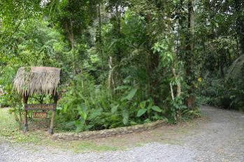 Korrigan 4* Punta Uva