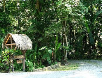 Korrigan 4* Punta Uva